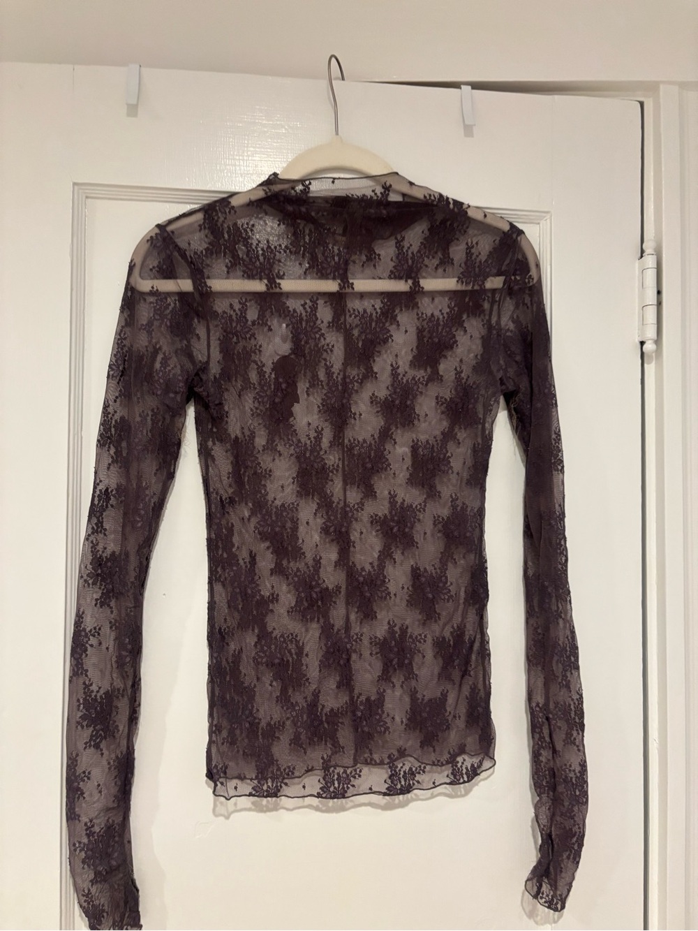 Free People Sheer Lace Long Sleeve Top